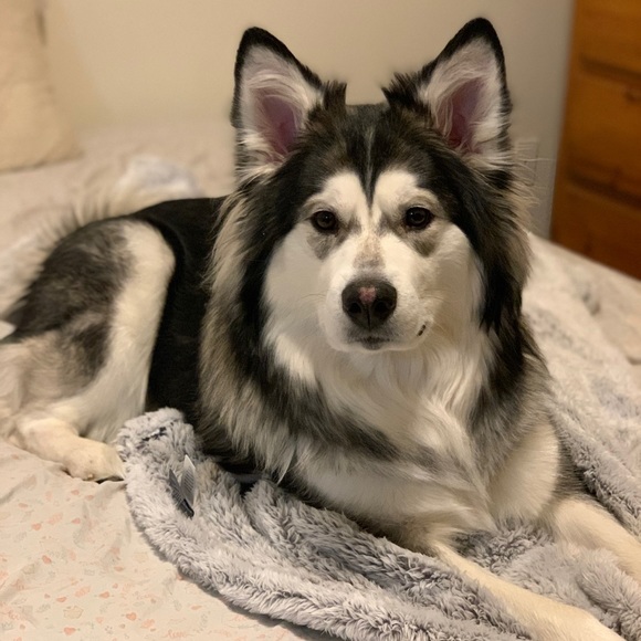 ✨MEET KENDALL✨ - Picture 4 of 6